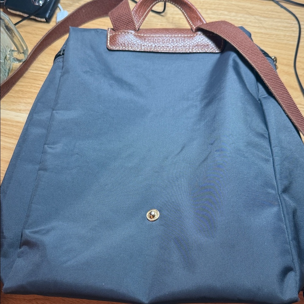 Longchamp Backpack - Picture 3 of 9
